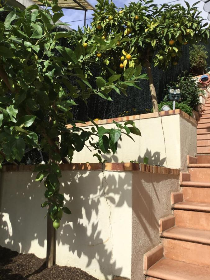 Villa Paradiso, Logement Avec Piscine, Nice Nord Exterior photo
